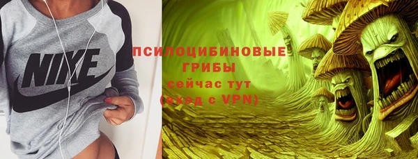 гидра Армянск