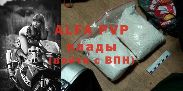 бошки Пересвет